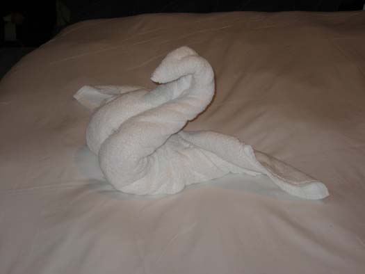 Oasis of the Seas Pictures - Towel Art : Swan