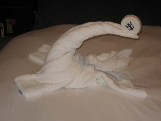 Oasis of the Seas Pictures - Towel Art : Seal